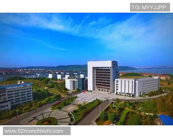 重庆网球队的蜕变之路总决赛特别报道见证辉煌与挑战的交织