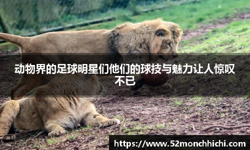 k1体育官方网站